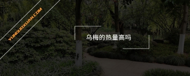 烏梅的熱量高嗎？
