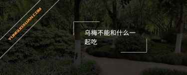 烏梅不能和什么一起吃？