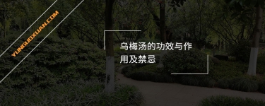 烏梅湯的功效與作用及禁忌