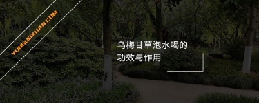 烏梅甘草泡水喝的功效與作用