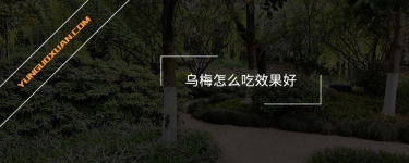 烏梅怎么吃效果好？