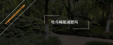 吃烏梅能減肥嗎？