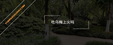 吃烏梅上火嗎？